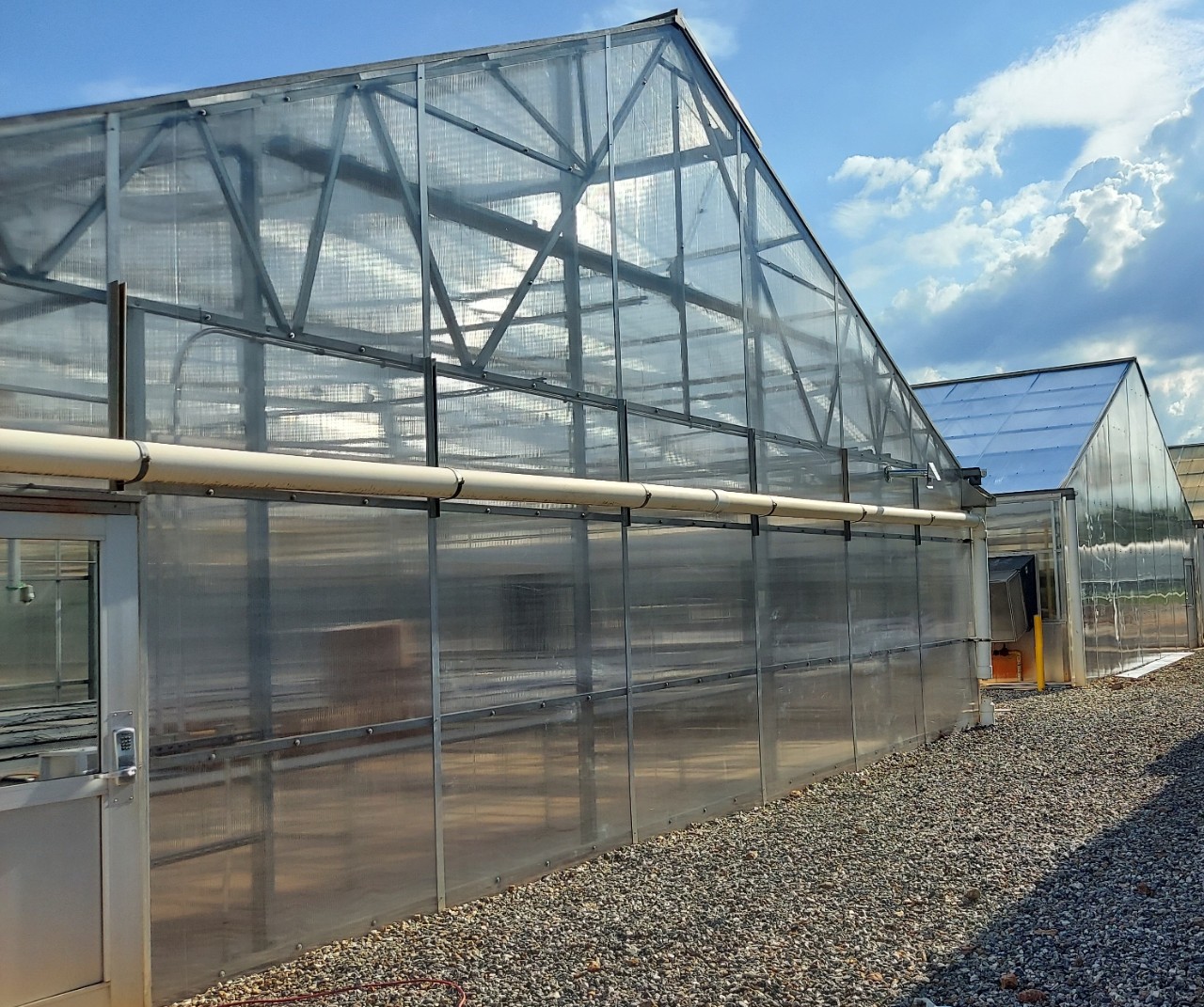 South Milledge Greenhouses following the replacement of old polycarbonate panels.